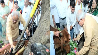 पूर्व सीएम भूपेश बघेल ने की पशु धन और कृषि यंत्रों की पूजा