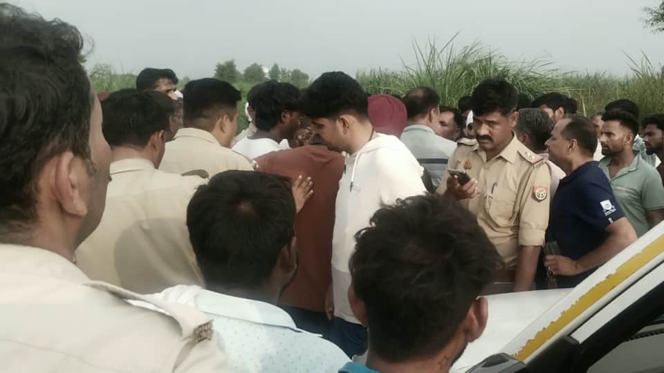 helpless grandson scream Dogs are eating my grandfather save him dogs mauled grandfather In Meerut