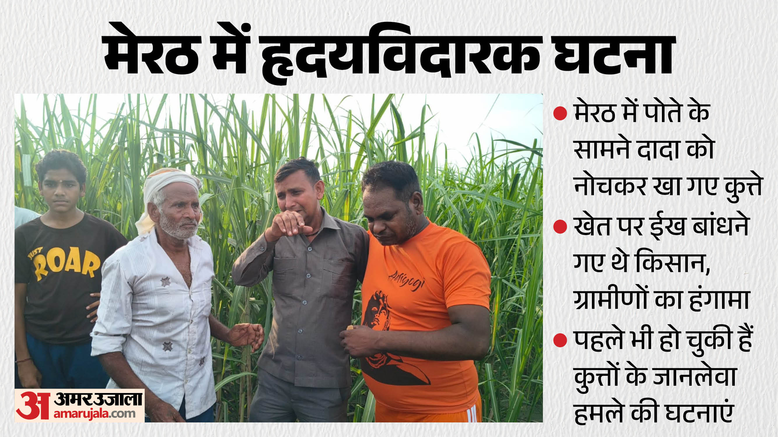 helpless grandson scream Dogs are eating my grandfather save him dogs mauled grandfather In Meerut