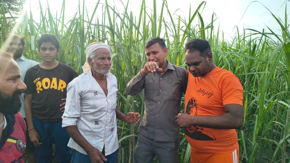 helpless grandson scream Dogs are eating my grandfather save him dogs mauled grandfather In Meerut