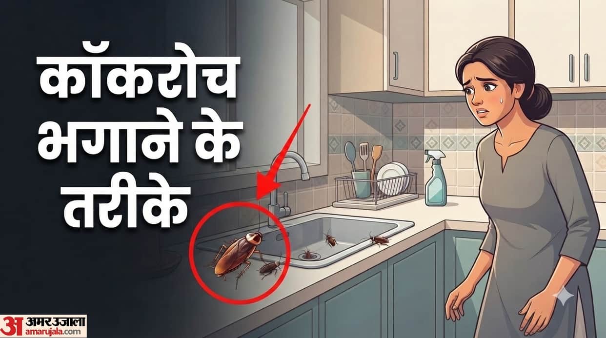 Cockroach Problem Solution How to get rid of cockroaches from your home Cockroach Bhagne Ke Tarike