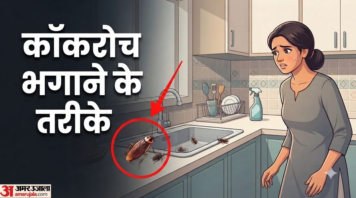 Cockroach Problem Solution How to get rid of cockroaches from your home Cockroach Bhagne Ke Tarike