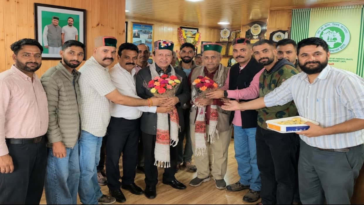 Himachal Forest Corporation: Regularization of daily wagers approved; recruitment to be held for 200 posts