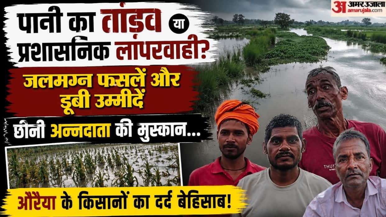 Auraiya 400 bighas of crops submerged as Pandu River overflows hopes for a daughters wedding dashed