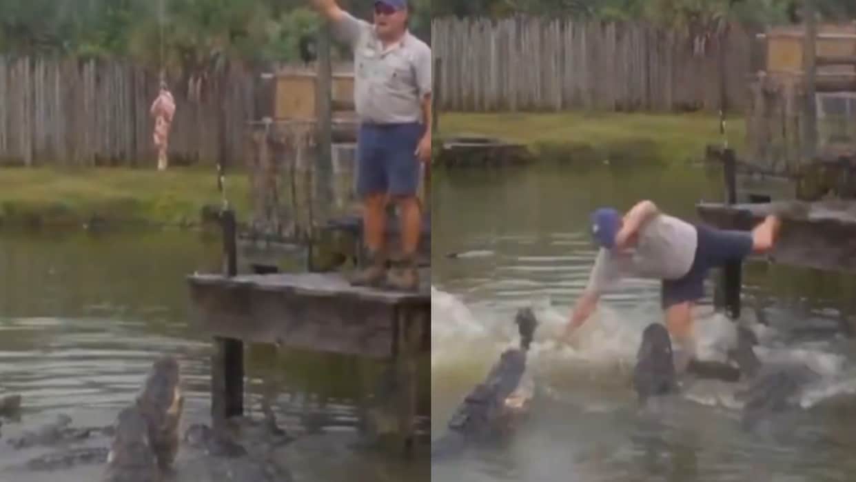 Magarmach ka video Man Feeding Food To Animal Watch Viral Video