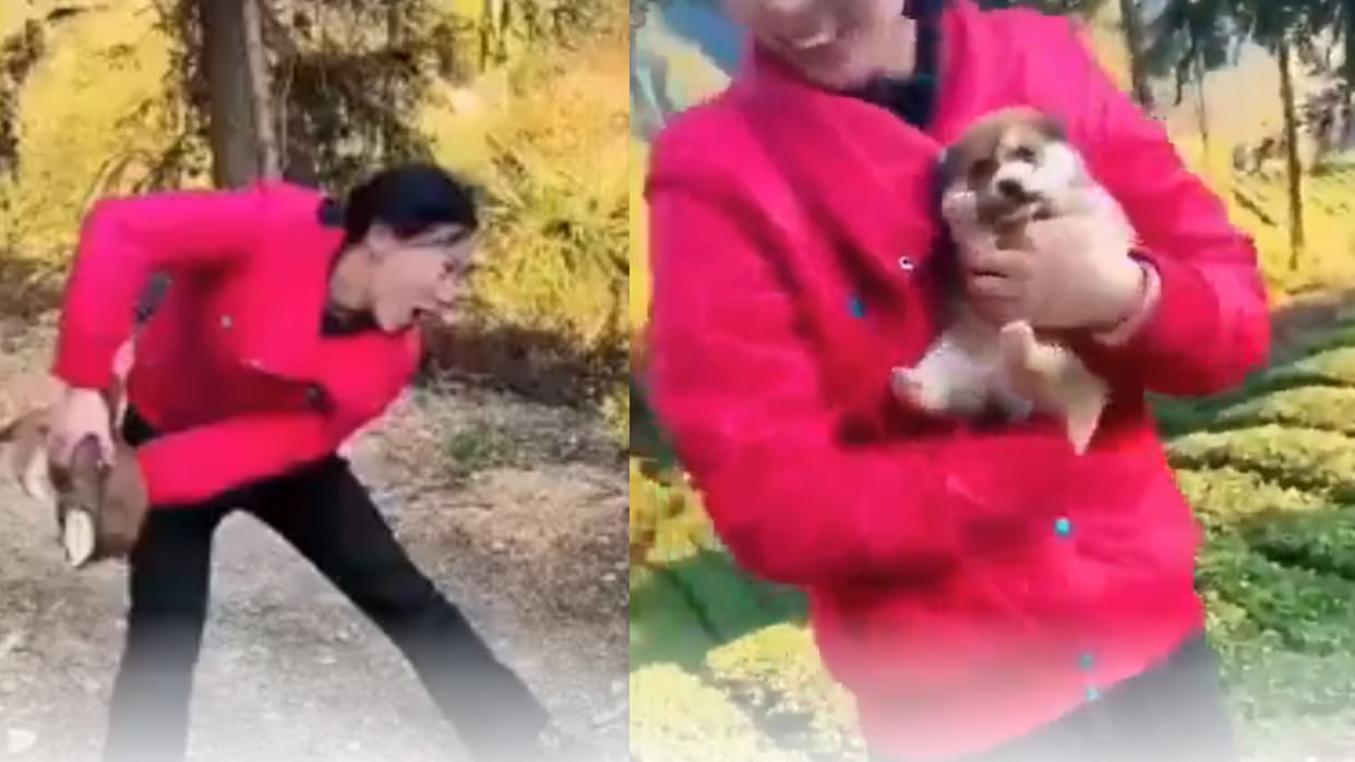 Woman pretends to throw puppy off a hill sparks outrage on social media viral video