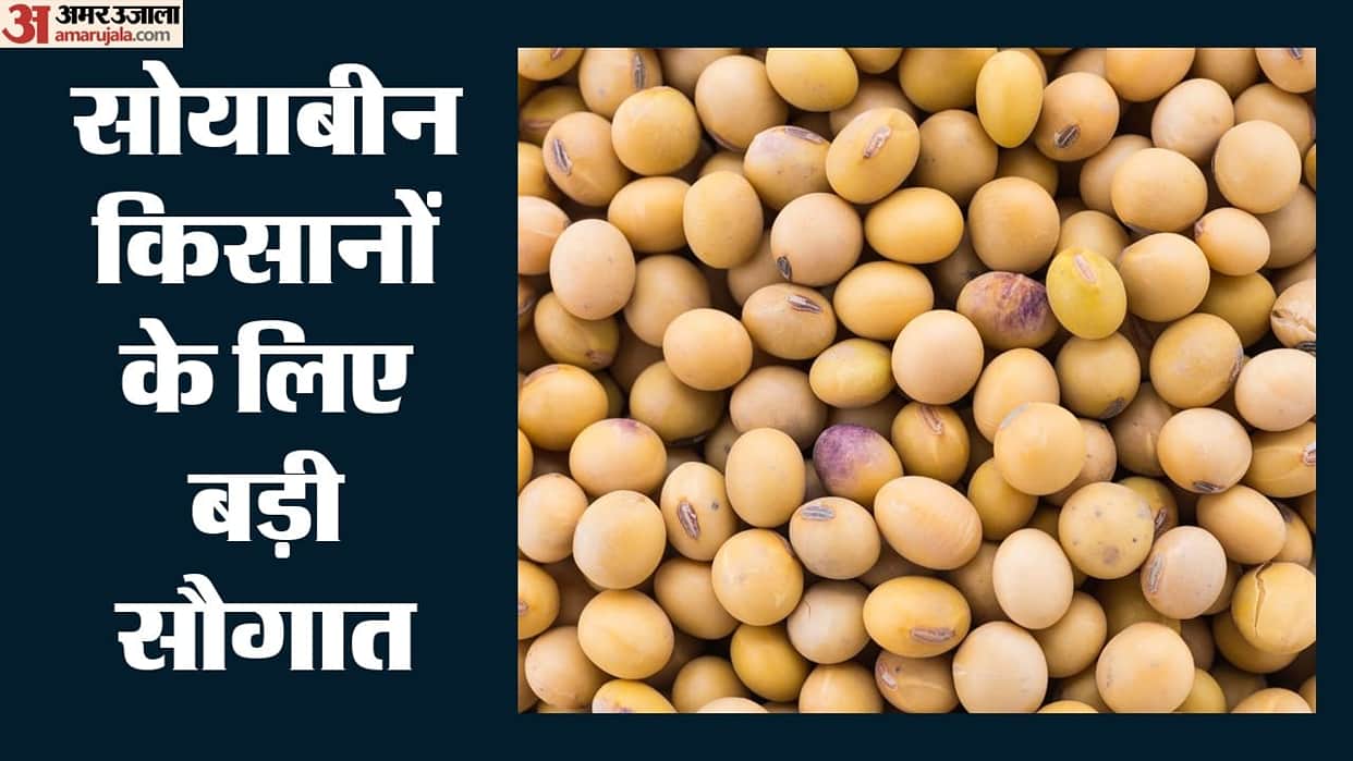 Sehore news:Sehore to Become Soybean Research Hub as 20 Hectares Allotted for National Institute