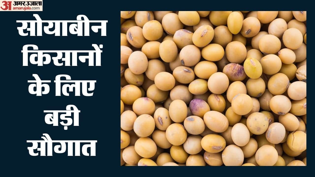 सोयाबीन किसानों के लिए बड़ी सौगात