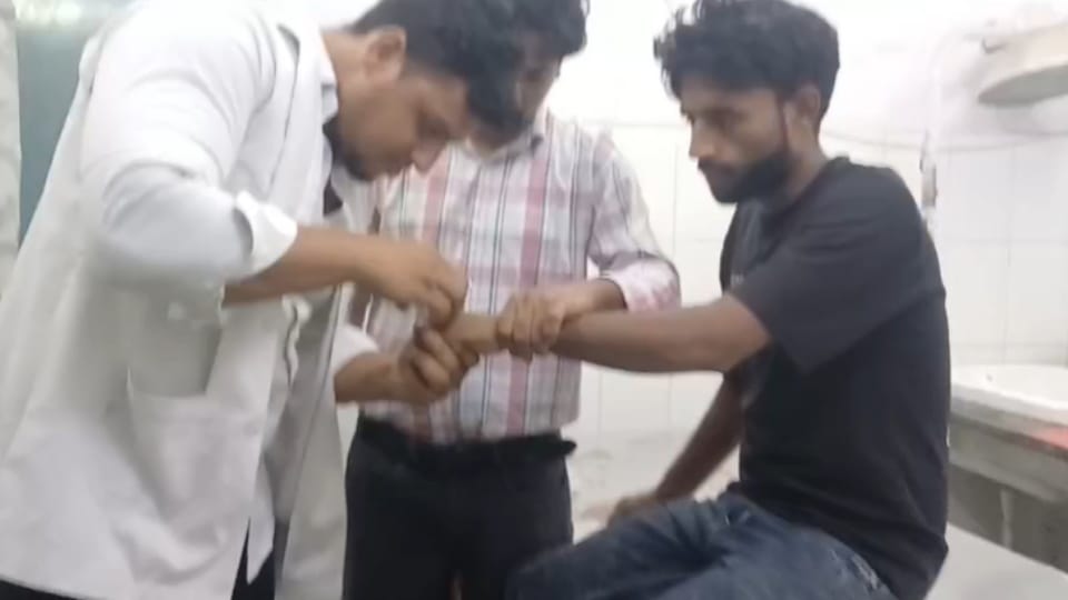 Baghpat: Snakebite Claims Life of 5-Year-Old Girl, Two Others Referred to Higher Centres