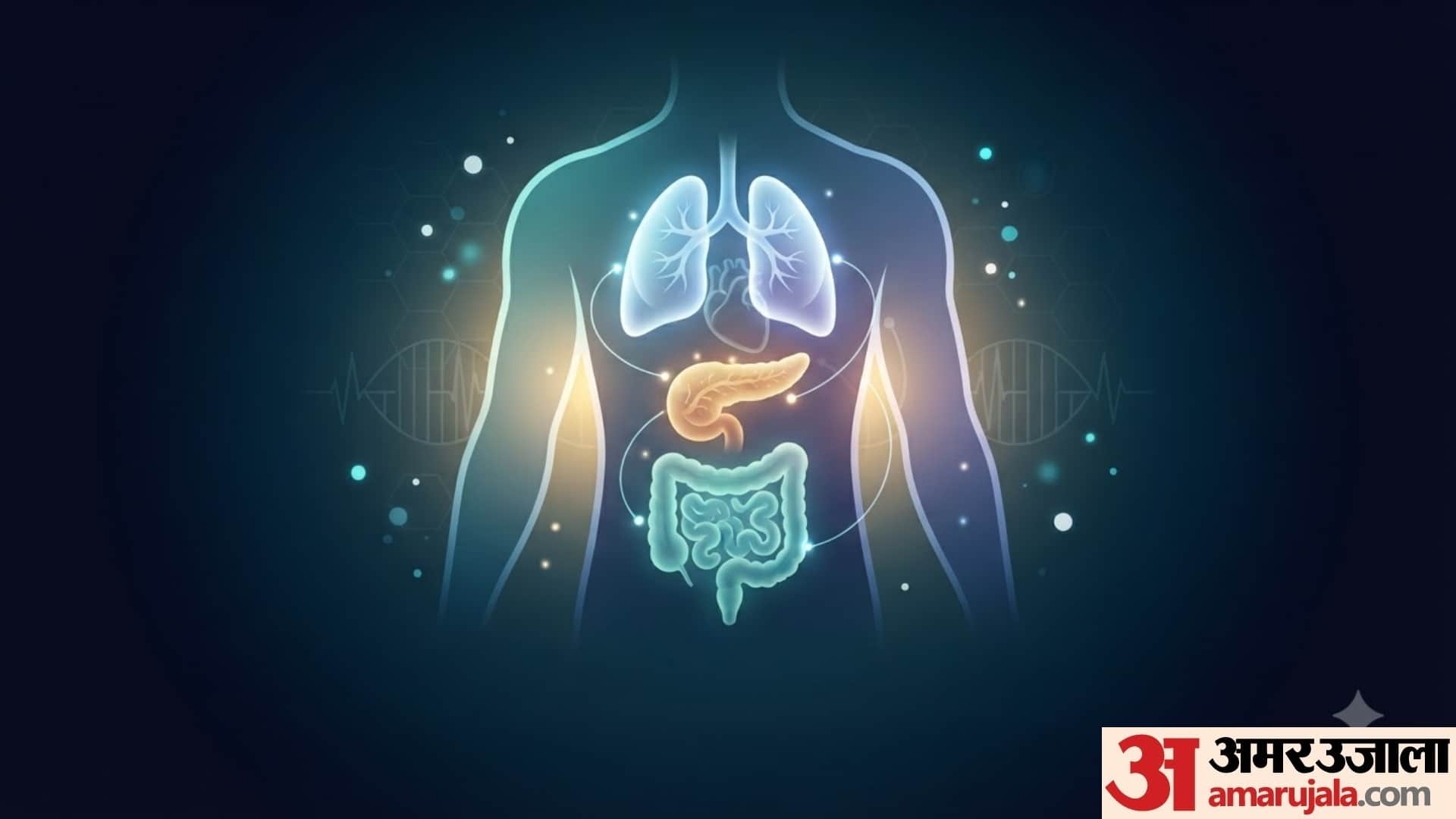 world organ donation day 2026 sharir ke kaun se ang daan kiye ja sakta hai
