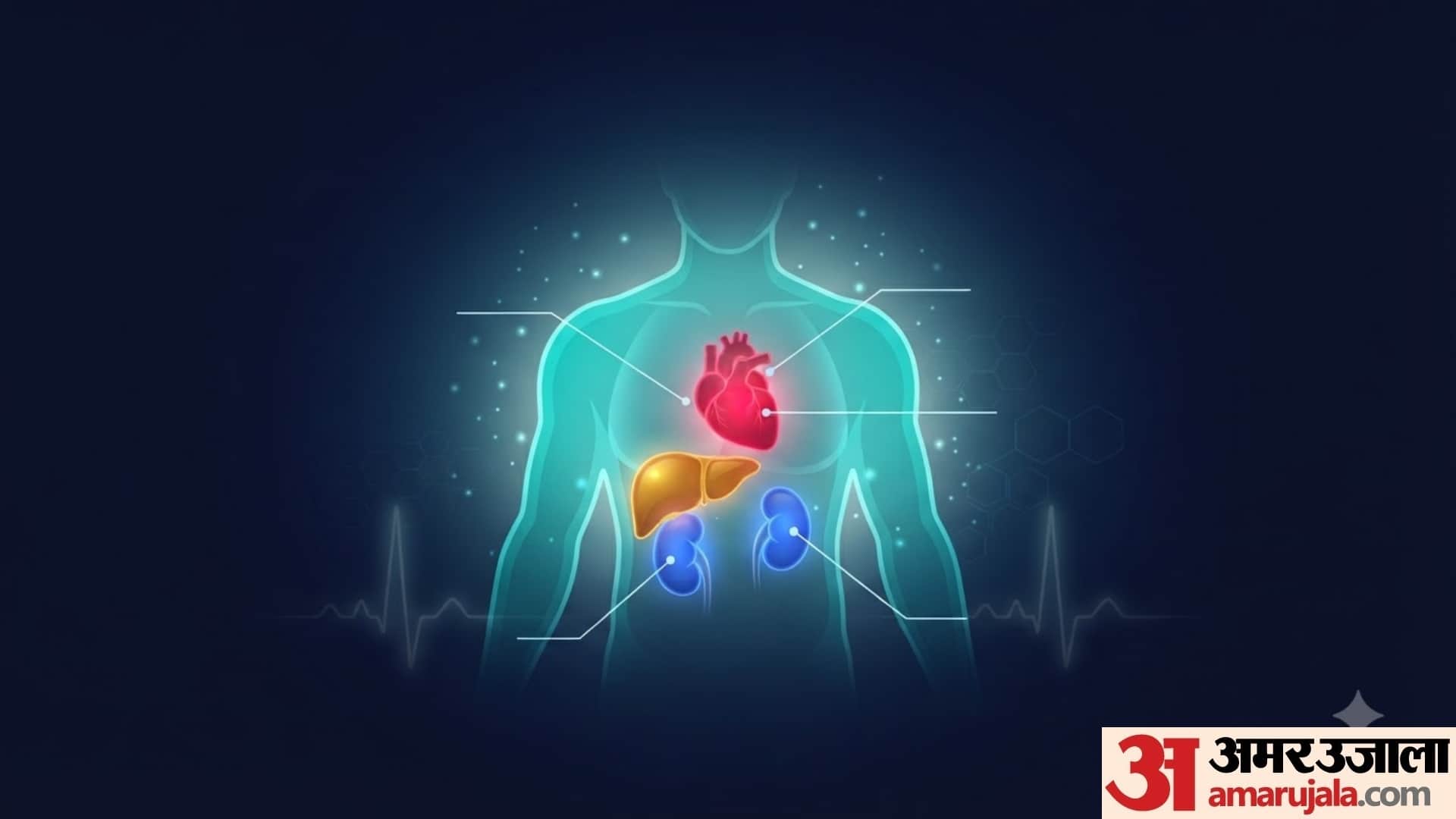 world organ donation day 2026 sharir ke kaun se ang daan kiye ja sakta hai