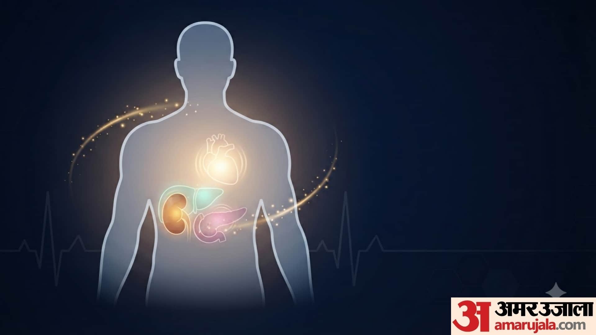 world organ donation day 2026 sharir ke kaun se ang daan kiye ja sakta hai