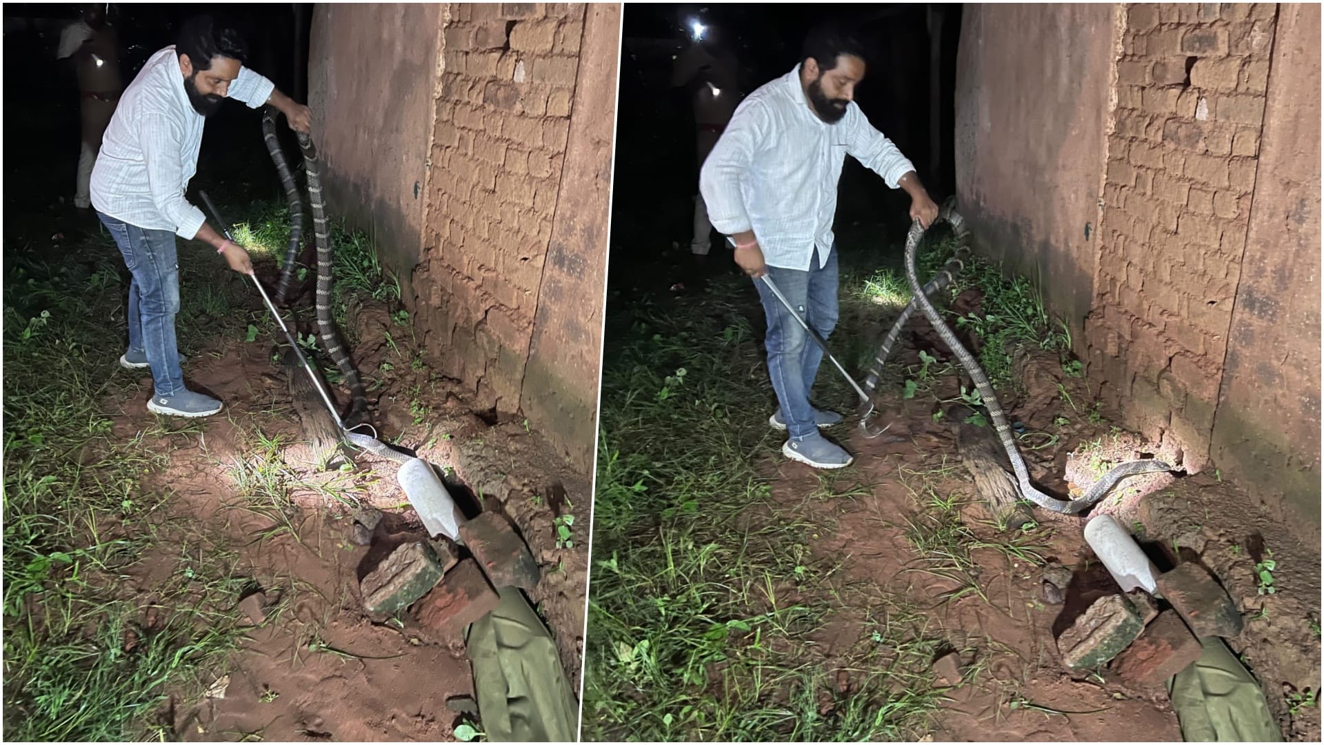 किंग कोबरा का रेस्क्यू करते टीम के साथी