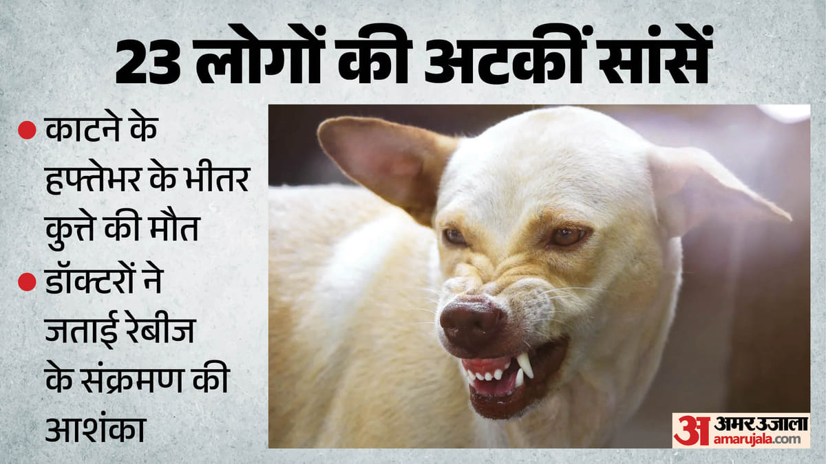 UP: मृत पड़ा मिला 23 लोगों को काट चुका कुत्ता, इनमें से तीन पुलिसकर्मी भी, संक्रमण के खतरे से सहमे पीड़ित