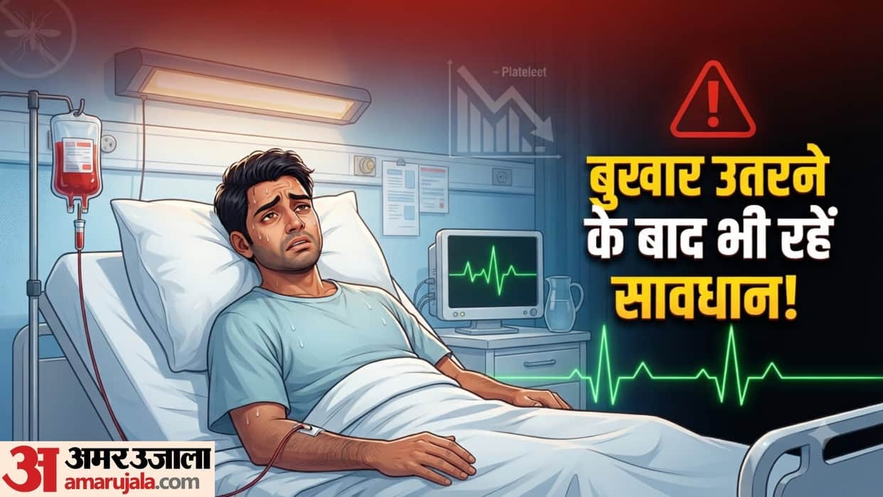 what happens when platelets decrease in dengue How to Increase Platelet Count in Dengue