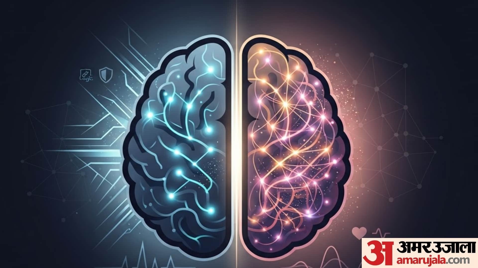 differences between male and female brains psychology in hindi