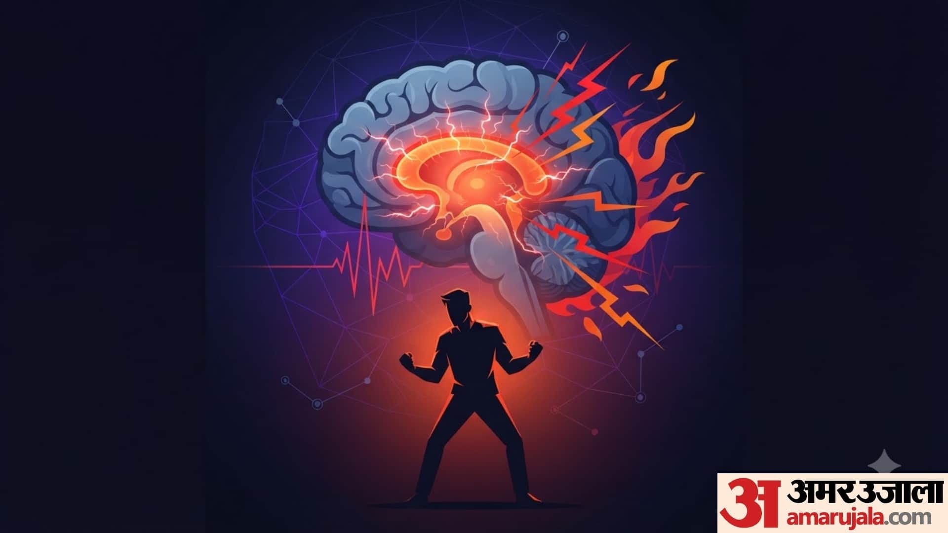 differences between male and female brains psychology in hindi