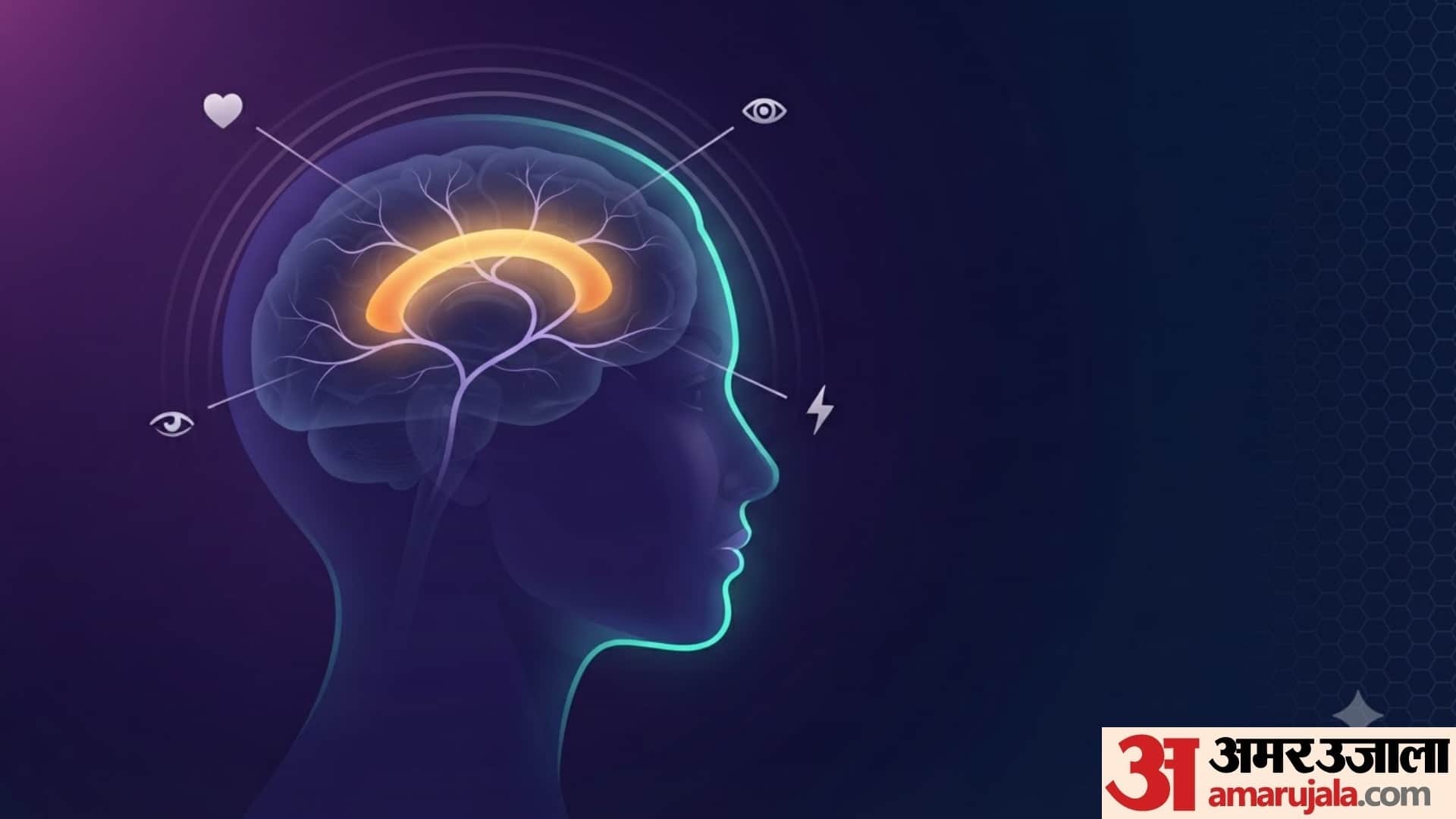 differences between male and female brains psychology in hindi