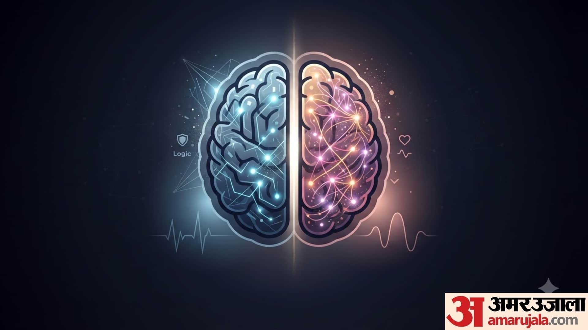 differences between male and female brains psychology in hindi