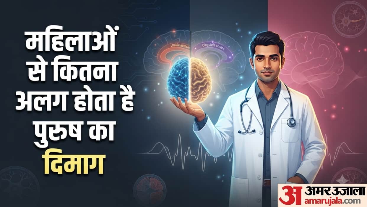 differences between male and female brains psychology in hindi