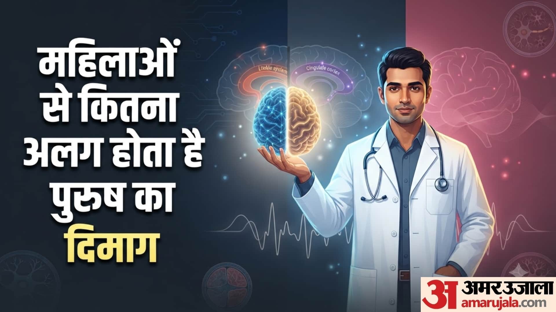 पुरुष-महिला के दिमाग में क्या होता है अंतर?