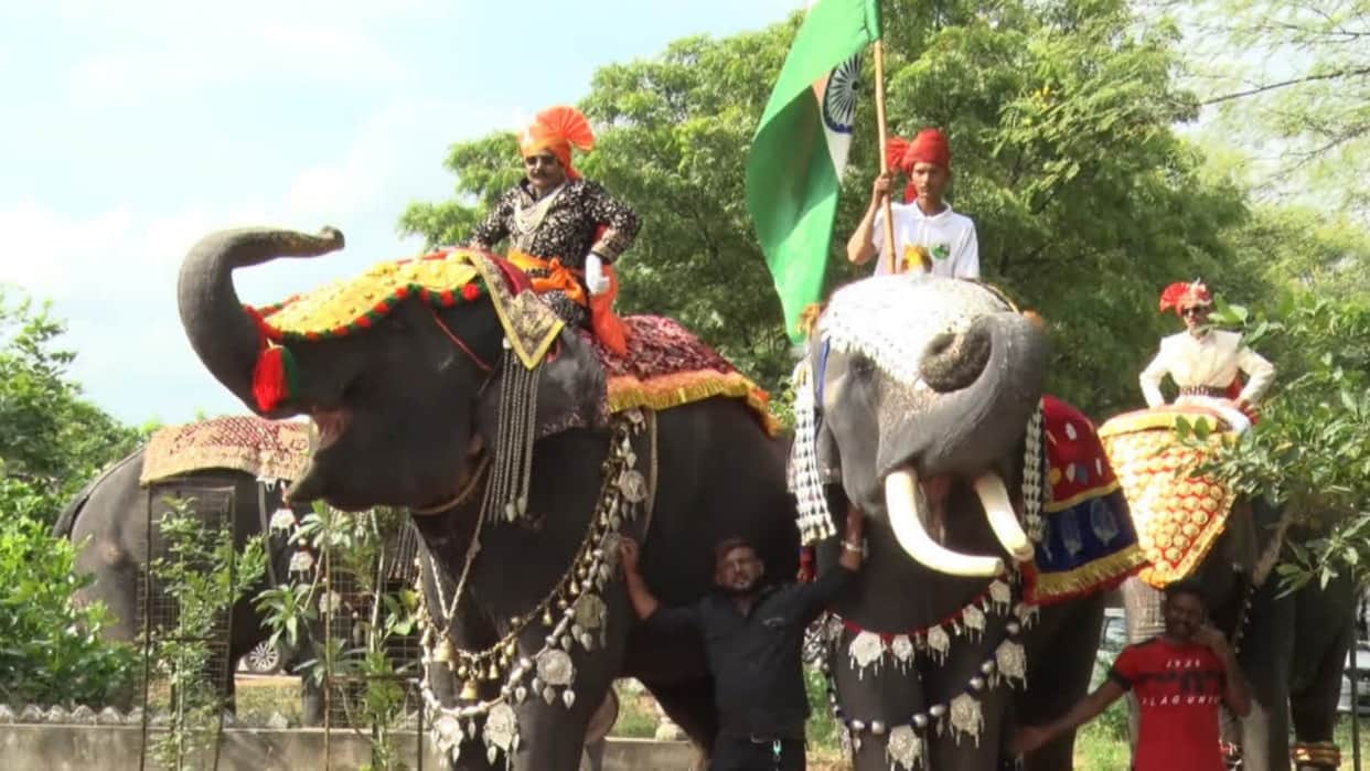 World Elephant Day: Jaipur’s Hathi Gaon Hosts Special Event, Decorated Elephants Take the Ramp