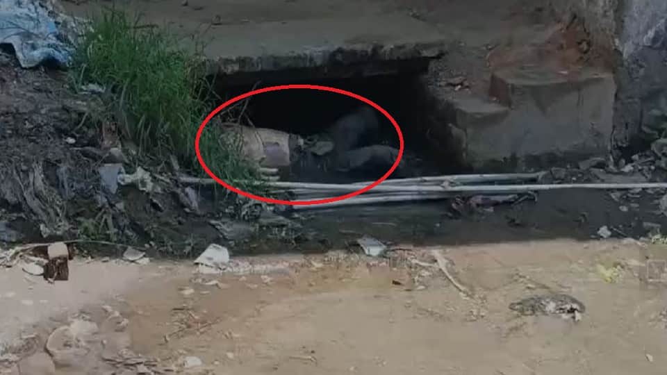 There was a stir after a dead body was found in an irrigation canal in ramnagar