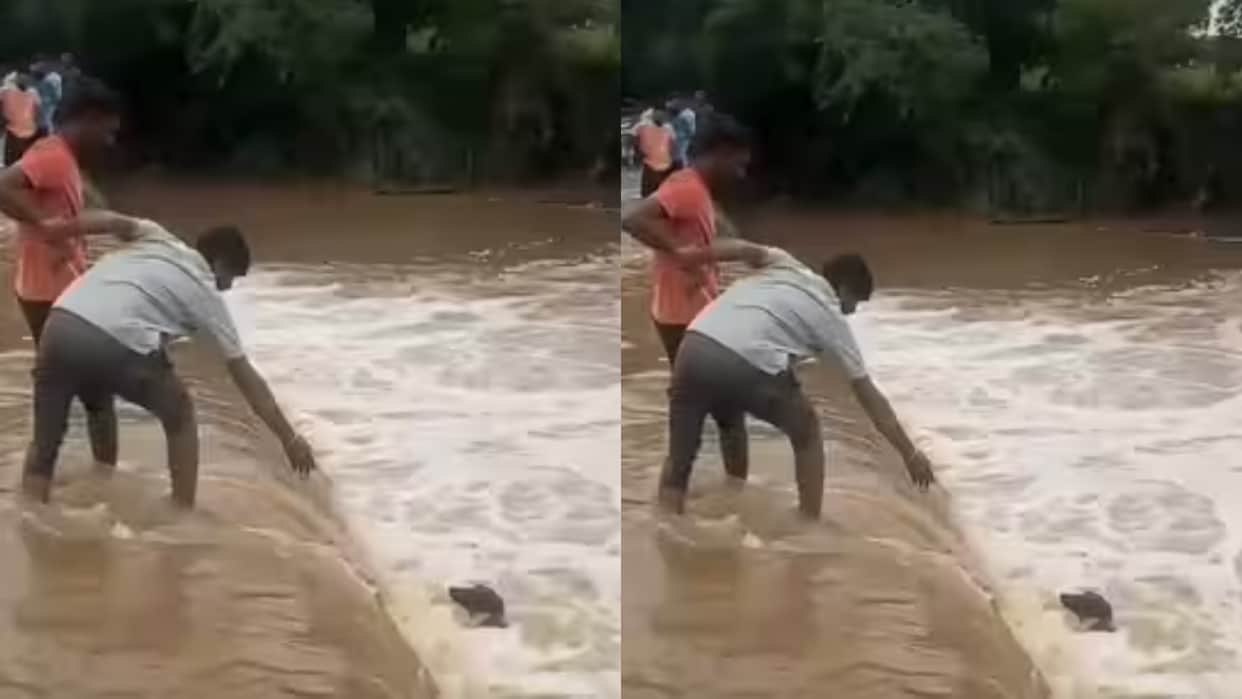 Man Saves Drowning Dog With A Gamcha After Repeated Rescue Attempts Fail video goes Viral