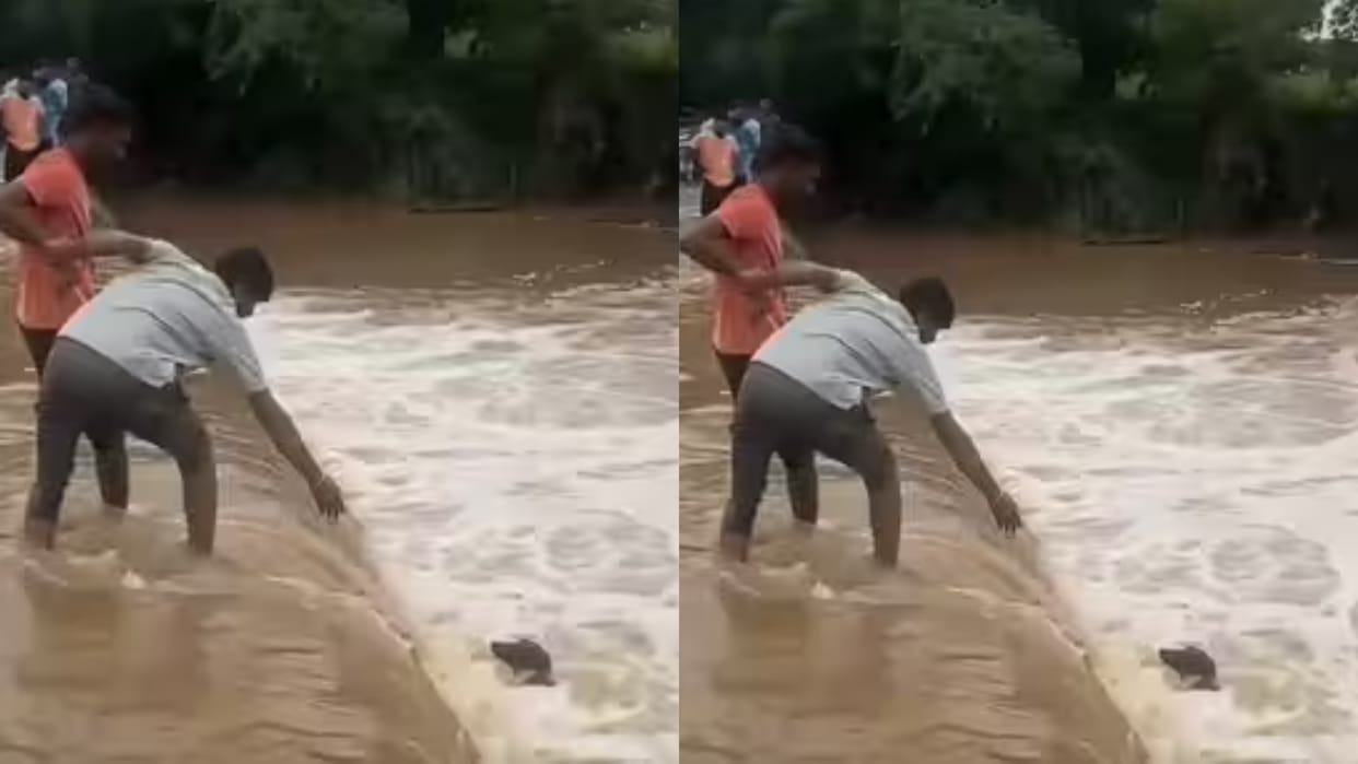 Man Saves Drowning Dog With A Gamcha After Repeated Rescue Attempts Fail video goes Viral
