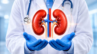 World Organ Donation Day: Lucknow's Tender Palm Hospital Achieves Landmark of Over 200 Kidney Transplants