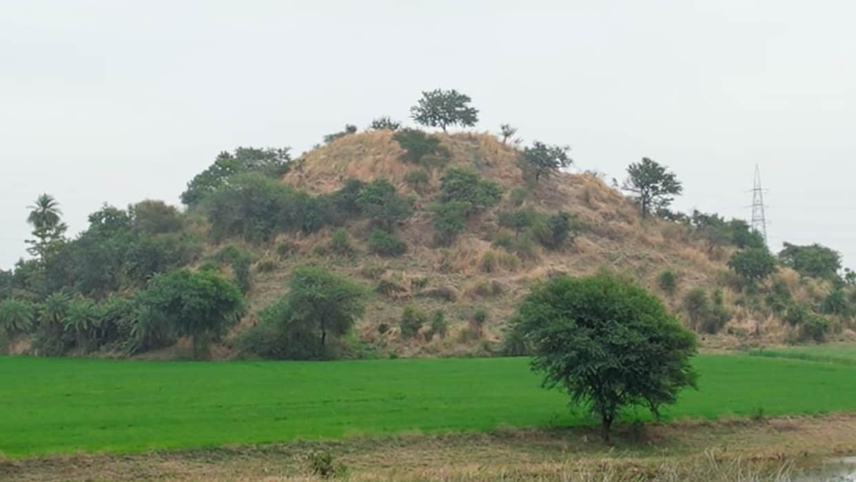 MP News: After 90 years, the historic Buddhist stupa will be excavated again