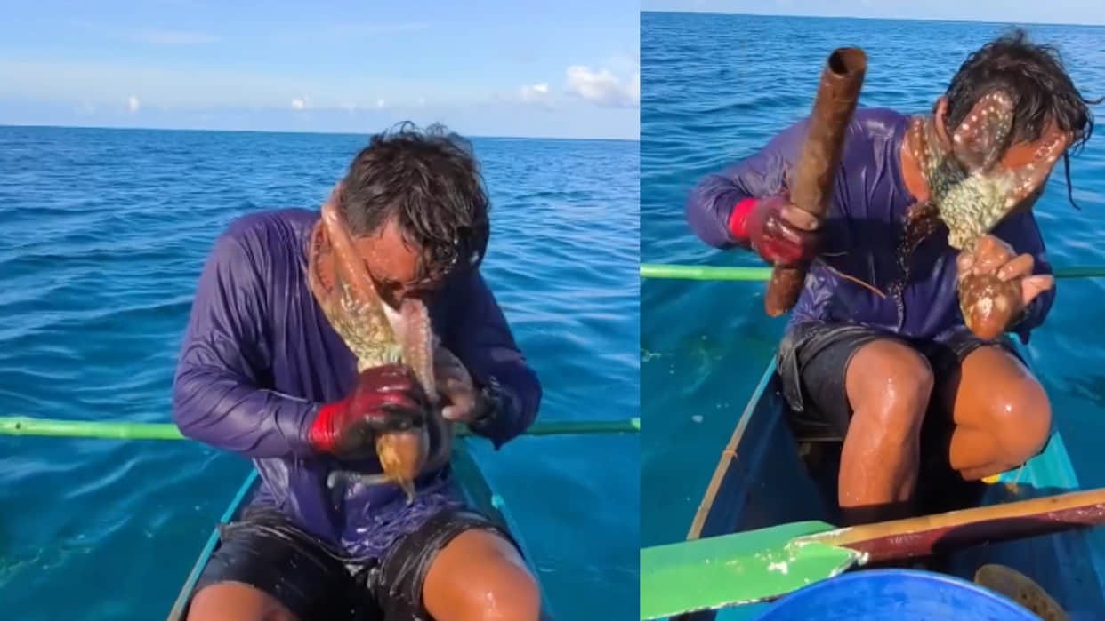 Philippines Octopus sticks to fisherman face while fishing video goes viral on social media