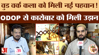 Bijnor Ground Report: Nagina's woodcraft gains new recognition; vanishing artistry included in the ODOP schem