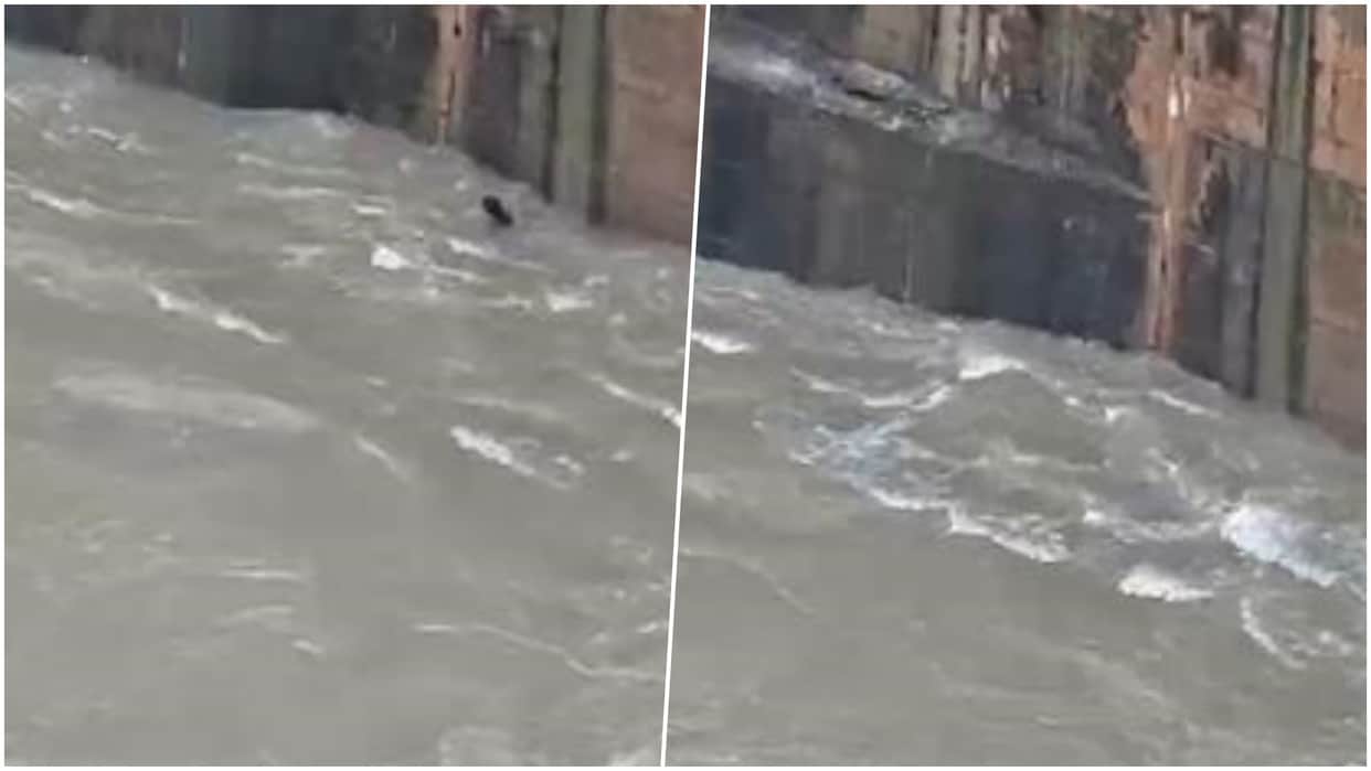Youth Visiting Dam with Friends Jumps into Open Gate, Swept Away in Strong Current; Rescue Operation Underway