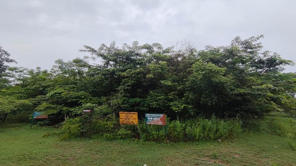 pollution updates in aligarh
