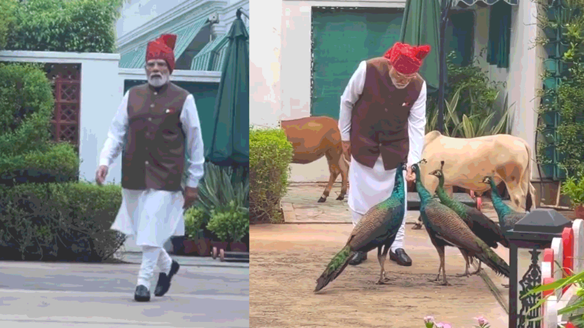 pm modi feeds cows and peacocks every morning red fort visit social media post