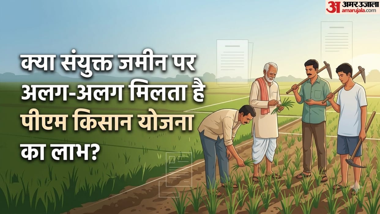 PM Kisan Samman Nidhi: How Four Brothers in One Family Can Get the Benefit