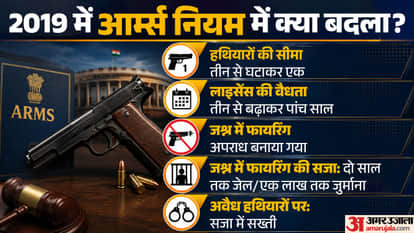 Who Can Get a Firearm Licence and Can You Carry a Pistol on a Flight? Know All the Rules