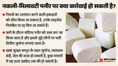 Analog Paneer Ban UP MP Maharashtra Chhattisgarh Gujarat Real vs fake Paneer difference explainer