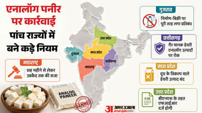 Analog Paneer Ban UP MP Maharashtra Chhattisgarh Gujarat Real vs fake Paneer difference explainer
