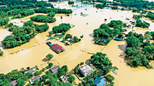 Assam Flood: 100+ Deaths Over 7 lakh Displaced; many Villages Submerged, How Will Life Return to Normal?