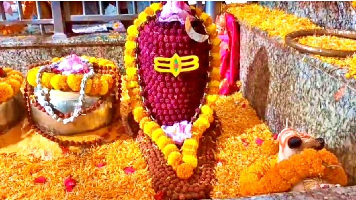 chapra baba dharmanath dhani temple 1000 year old history shivling