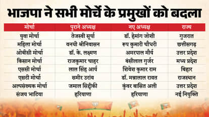 BJP New Office Bearers Nitin Nabin National Team List Changes Amit Malviya Tejasvi Surya out Explainer