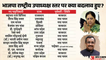 BJP New Office Bearers Nitin Nabin National Team List Changes Amit Malviya Tejasvi Surya out Explainer