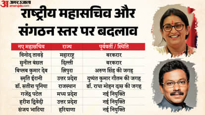 BJP New Office Bearers Nitin Nabin National Team List Changes Amit Malviya Tejasvi Surya out Explainer