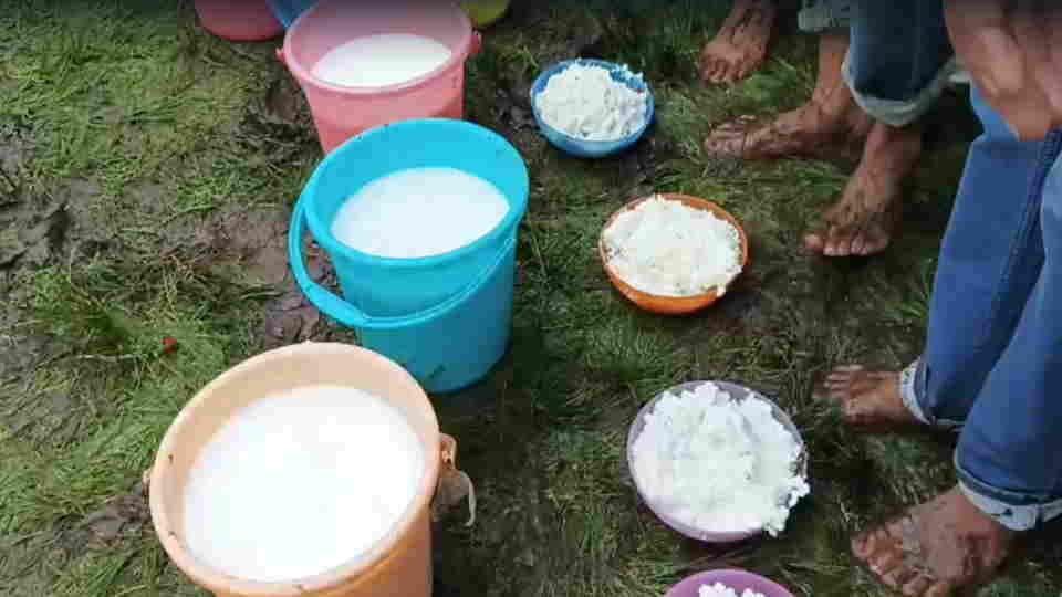 Butter Festival 2026 Holi played with milk and butter on velvety Bugyals photos of this unique festival