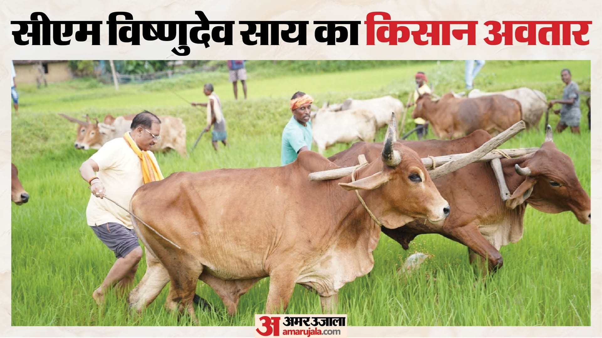 ग्रॉफिक्स: अमर उजाला डिजिटल