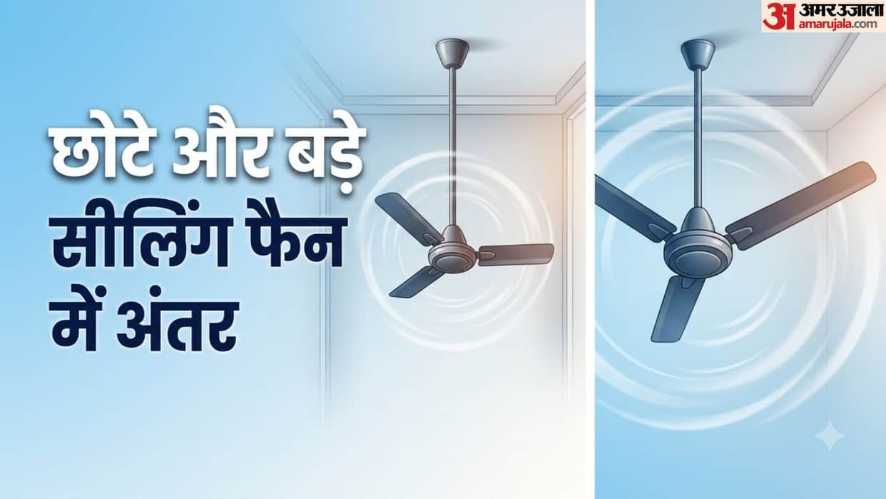 Ceiling Fan Size Guide: What is the Difference Between Small and Large Fans and Which One to Choose