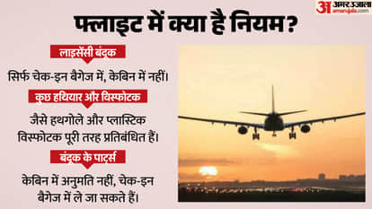 Who Can Get a Firearm Licence and Can You Carry a Pistol on a Flight? Know All the Rules