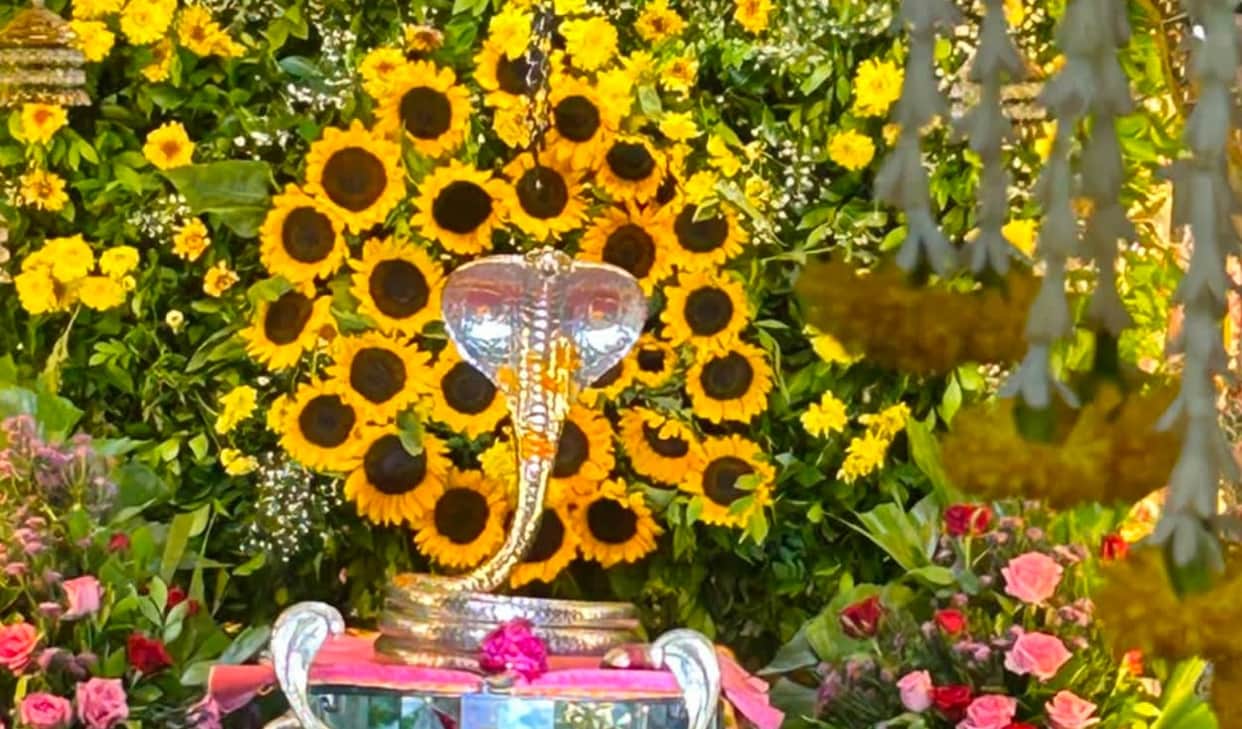 Indore News: Nag Panchami celebrated in Indore; traditional wrestling matches held, prayers offered at Nag tem